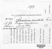 Image Associated With the Occurence